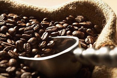 法律文件要求《龙珠：电光火石0》必须年底前发售