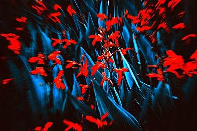 在超级游艇人生任务中勇闯公海，获得双倍GTAOL游戏币和声望值