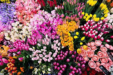 《方舟生存飞升》“灭绝”DLC上线，“冬季仙境”活动即将开始